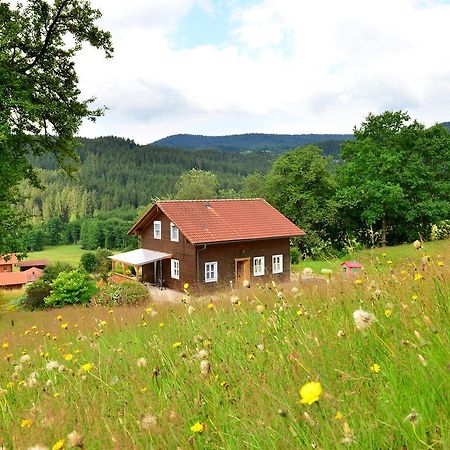 Comfort Apartment With Balcony In The Beautiful Bavarian Forest Drachselsried Extérieur photo