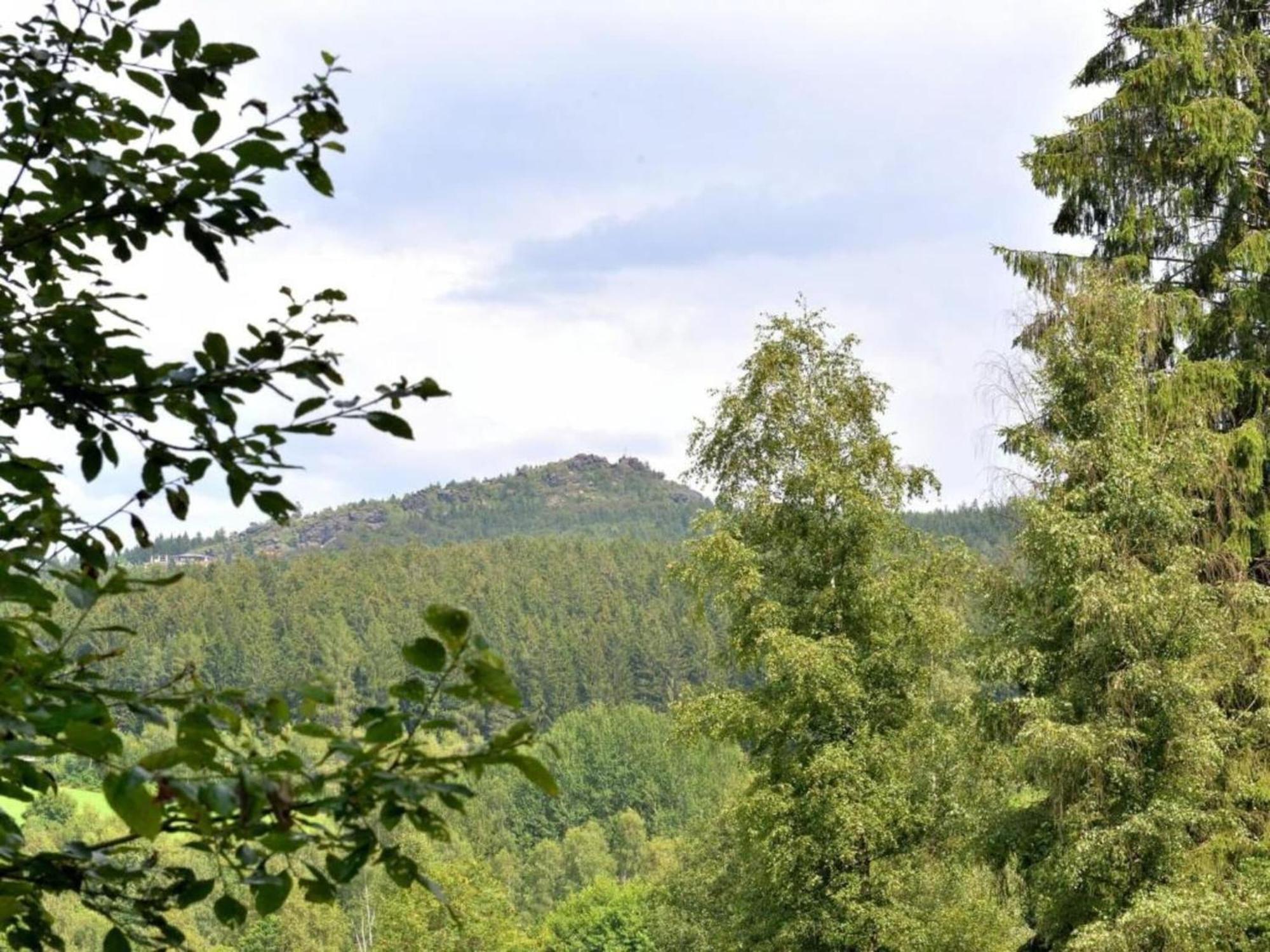 Comfort Apartment With Balcony In The Beautiful Bavarian Forest Drachselsried Extérieur photo