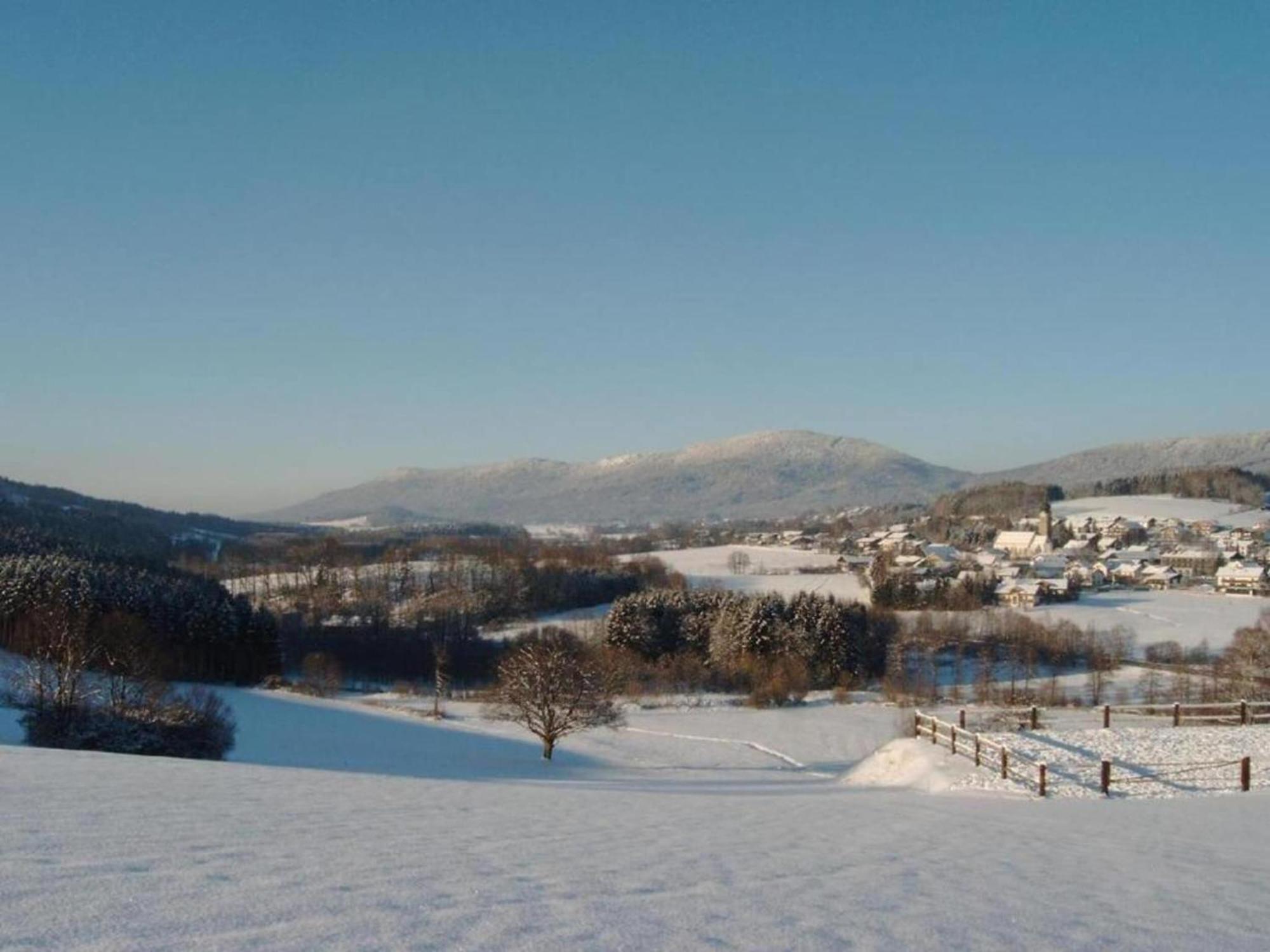Comfort Apartment With Balcony In The Beautiful Bavarian Forest Drachselsried Extérieur photo