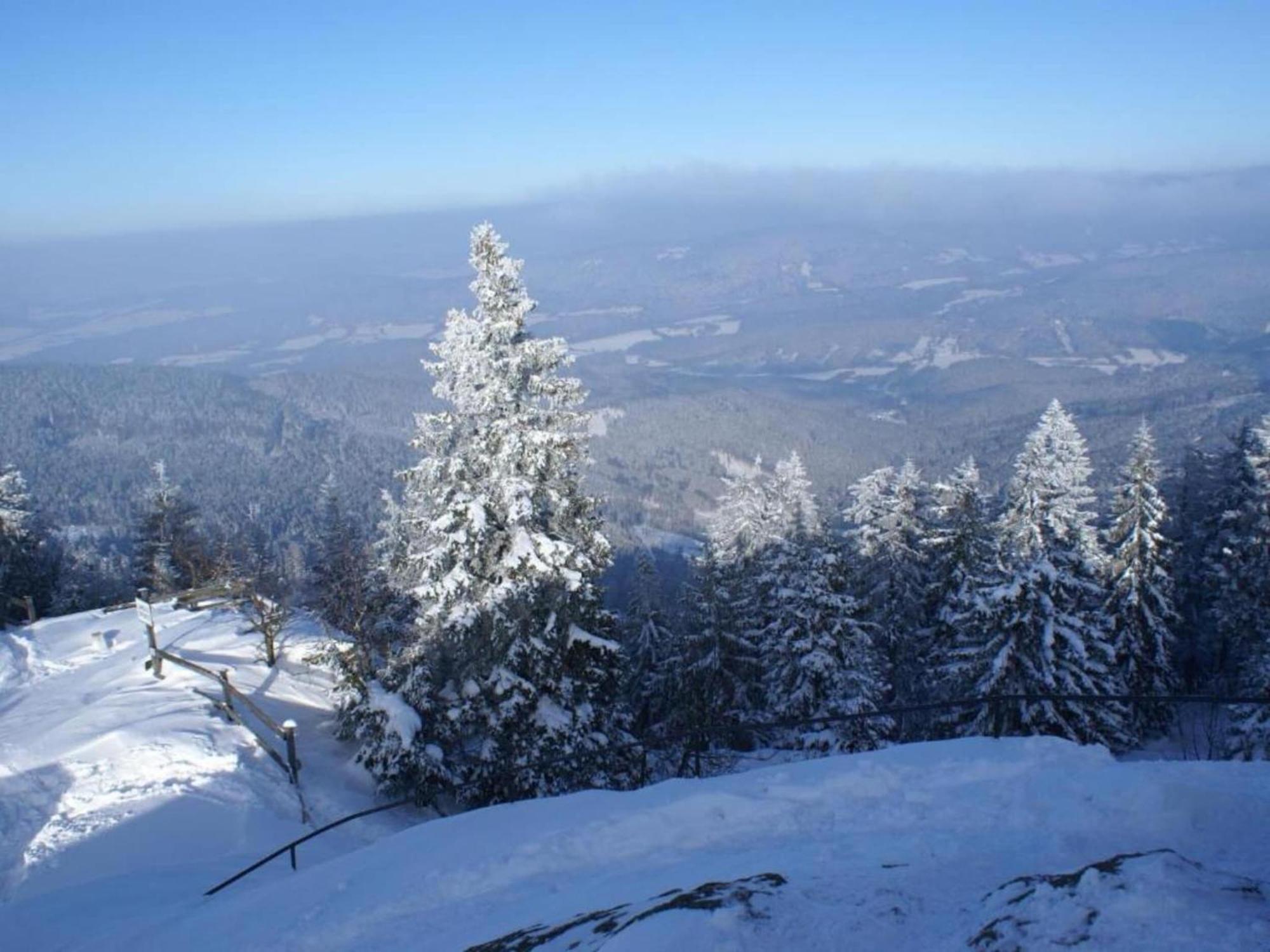 Comfort Apartment With Balcony In The Beautiful Bavarian Forest Drachselsried Extérieur photo