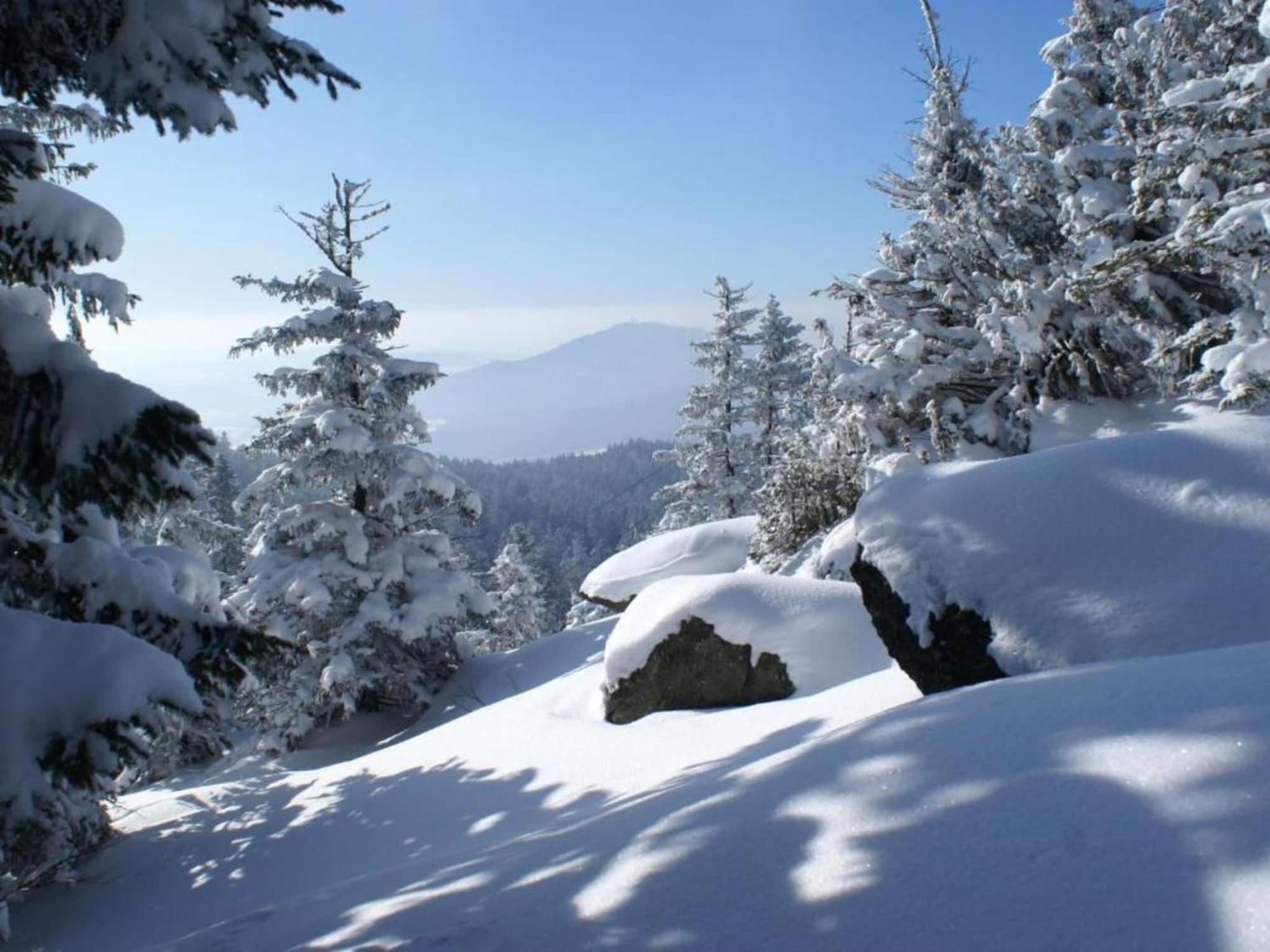 Comfort Apartment With Balcony In The Beautiful Bavarian Forest Drachselsried Extérieur photo