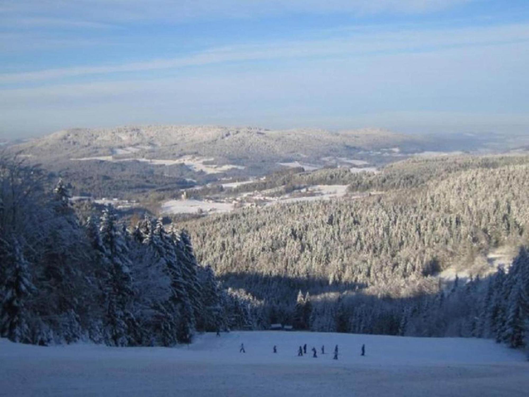 Comfort Apartment With Balcony In The Beautiful Bavarian Forest Drachselsried Extérieur photo
