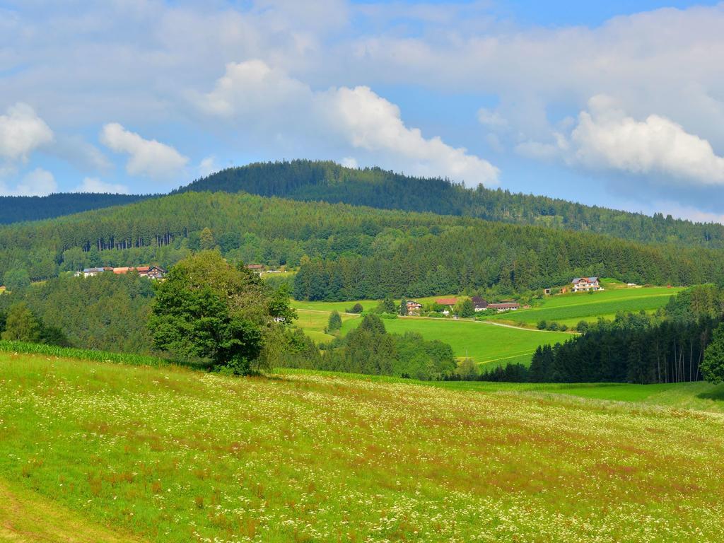Comfort Apartment With Balcony In The Beautiful Bavarian Forest Drachselsried Extérieur photo